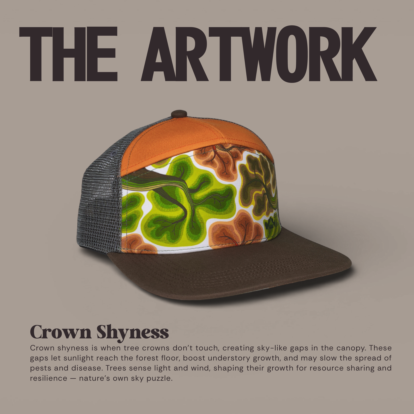 7 Panel Trucker Cap - Crown Shyness