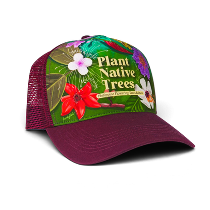 Plant Native Trees: Philippine Flowering Trees Edition