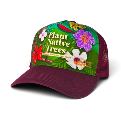 Plant Native Trees: Philippine Flowering Trees Edition