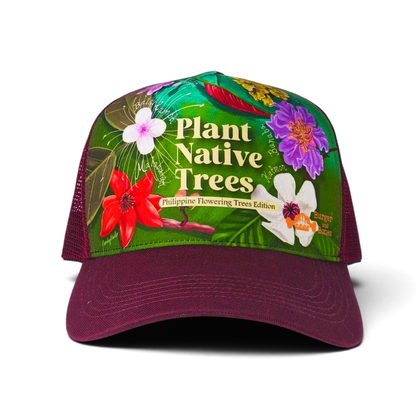 Plant Native Trees: Philippine Flowering Trees Edition