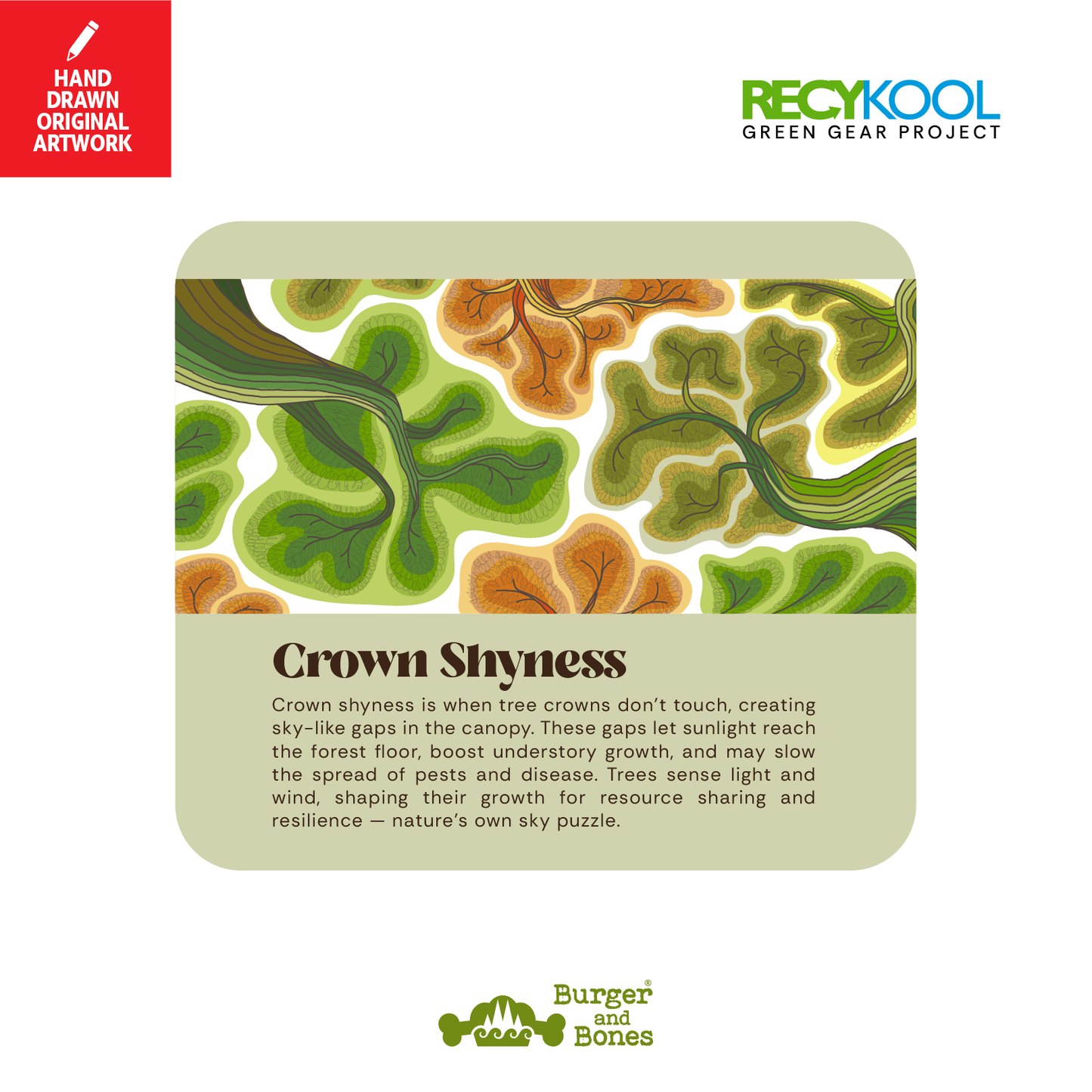 ACTVSM: Crown Shyness